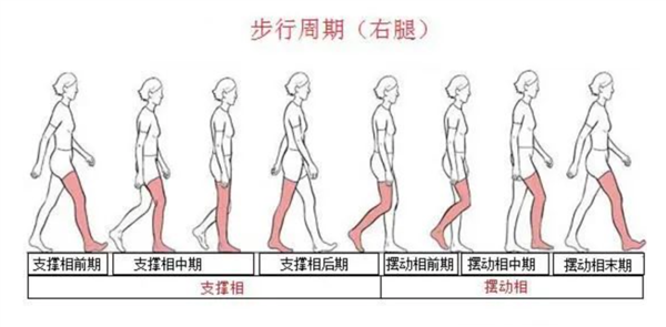 你的走路姿势 可能一直都错了！难看还伤腿