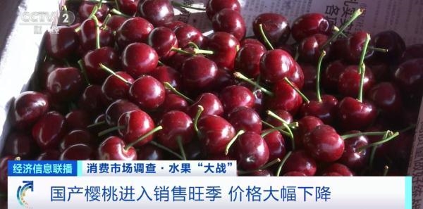 樱桃自由了！水果贵族樱桃一斤直降30元 六七月份还会降