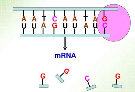 新冠疫苗加强128倍！百度这次干得漂亮 没得喷