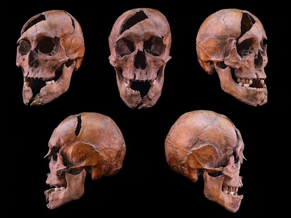 1272年暗杀现场被还原！科学家用DNA破解700年前王室谋杀案