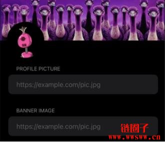 推特杀手？Damus上线近一周！色情、诈骗广告轮流洗版