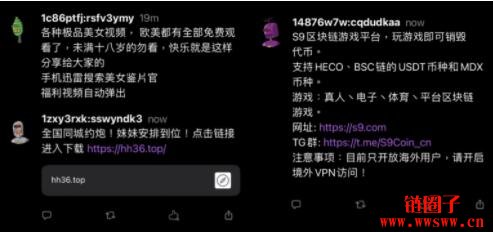 推特杀手？Damus上线近一周！色情、诈骗广告轮流洗版