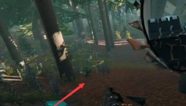 森林修改器怎么开启