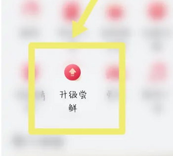 荣耀70pro如何升级鸿蒙系统