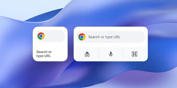 谷歌浏览器手机版网页打不开解决方法