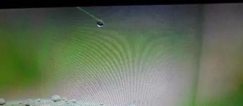 电脑花屏原因及解决方法