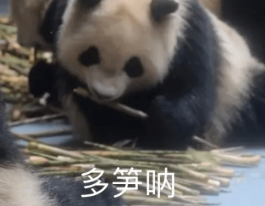 夺笋呐的网络意思介绍