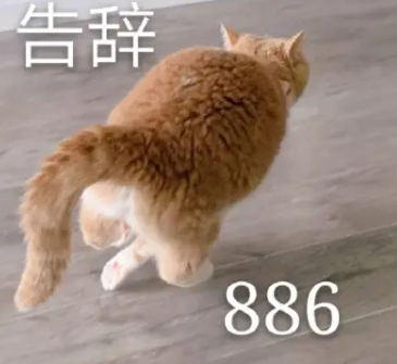 886网络用语介绍