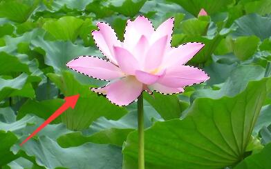 ps羽化边缘模糊 与背景融合教程