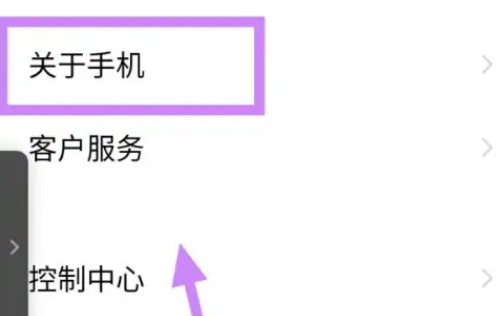 iqooz8设置里参数查看方法