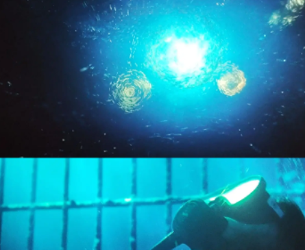 带你看海底星空什么梗详情