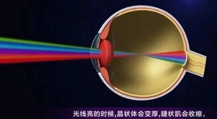 护眼屏是不是智商税