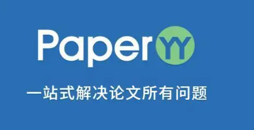 paperyy严格版报告准吗