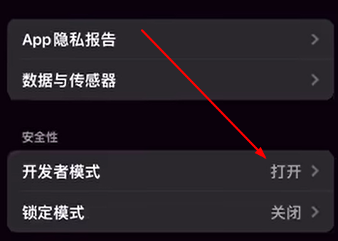 ios17开发者模式怎么打开