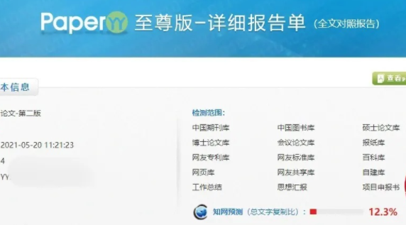 paperyy是什么查重软件