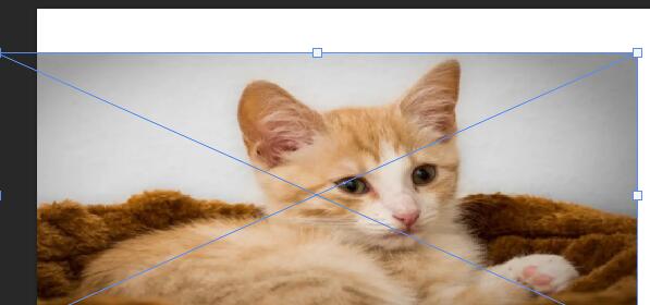 ps图片等比例放大缩小快捷键详细介绍