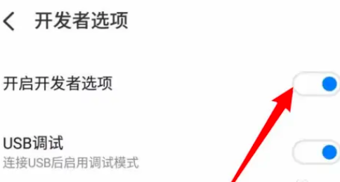 魅族21如何退出开发者模式