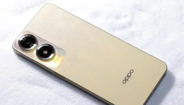 oppo a2x参数配置