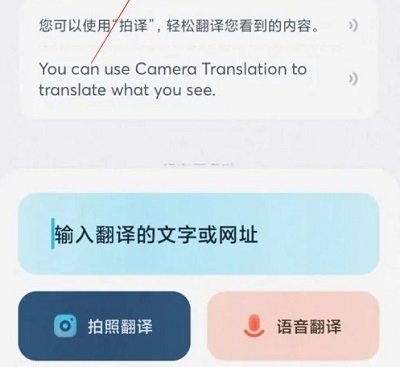 有道翻译怎么实时翻译