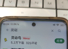 灵动鸟在哪下载
