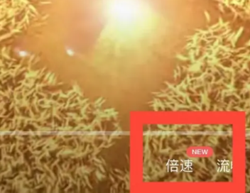 百度云怎么倍速免费