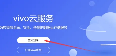 vivo云服务器查找手机