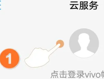 vivo云服务器查找手机