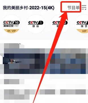 央视频网页版入口