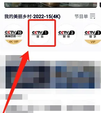 央视频网页版入口
