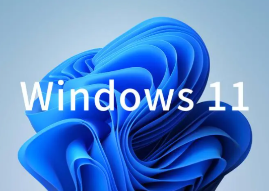 Windows23h2更新失败是怎么回事