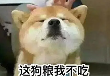 撒狗粮网络用语介绍