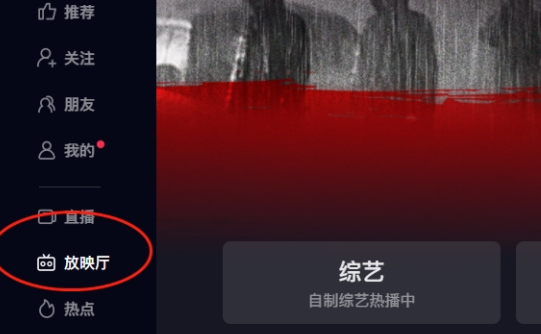 抖音放映厅可以一起看吗