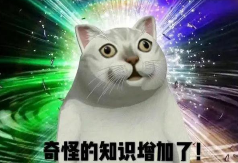 crush什么意思梗