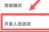 鸿蒙4.0开发者选项介绍