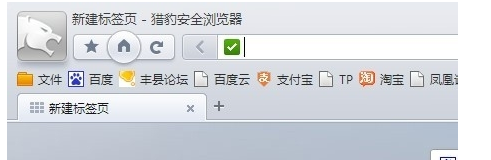 猎豹安全浏览器怎么查看历史记录?查看历史记录方法全览