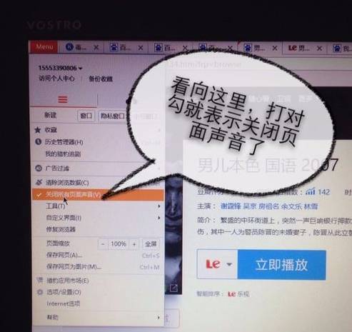 猎豹浏览器页面没有声音怎么办 页面没有声音解决方法详解