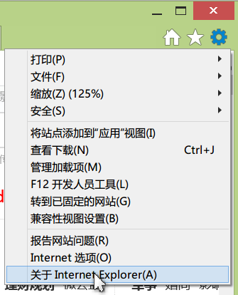 怎么查看电脑上IE的版本？查看电脑上IE的版本技巧分享