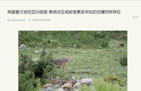 360浏览器阅读模式如何设置？设置阅读模式的方法介绍