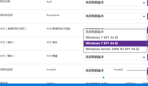 XP系统安装不了ie提示安装了更新的Internet Explorer版本是什么原因?解决办法说明