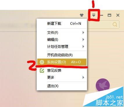 IE浏览器如何设置迅雷下载和自带下载器相互切换?设置方法分享