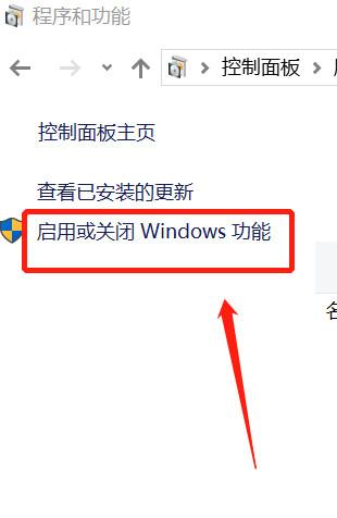 怎样解决win10系统无法安装IE浏览器?解决的方法介绍