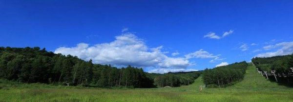 小兴安岭夏天的特点