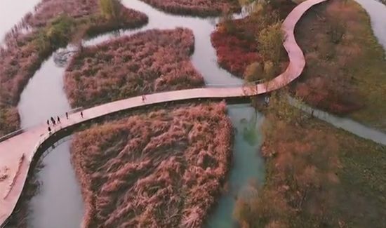 湿地又称为什么