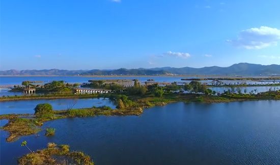 湿地又称为什么