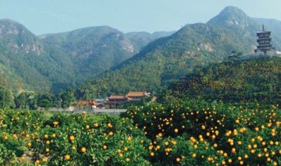 浙江涌泉在哪里