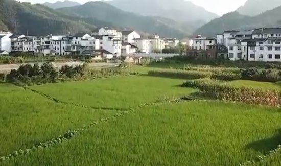 庐山在哪个省