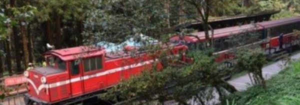 阿里山位于哪个省