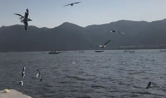 昆明有什么好玩的地方