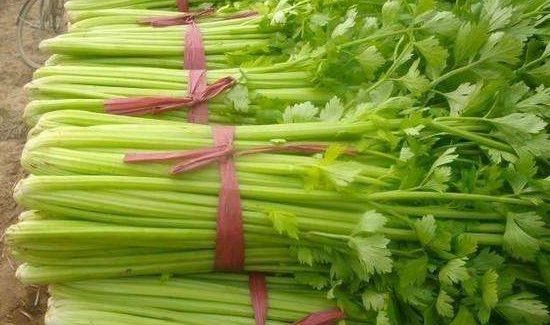 霜降可以种什么农作物