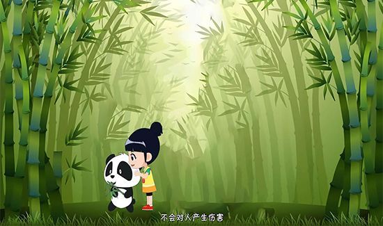 大熊猫为什么被视为中国的国宝
